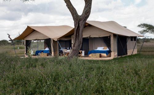 Serengeti National Park Autre | Migration UnderCanvas