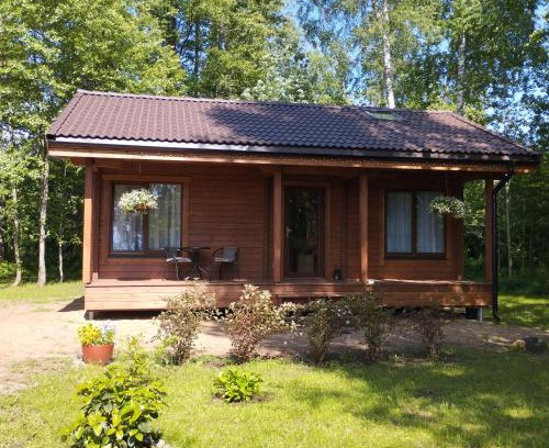 Tuja Maison | Mikmari