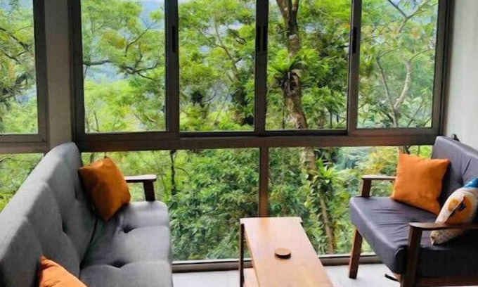 El Millon Maison | Milagro- Tree Studio
