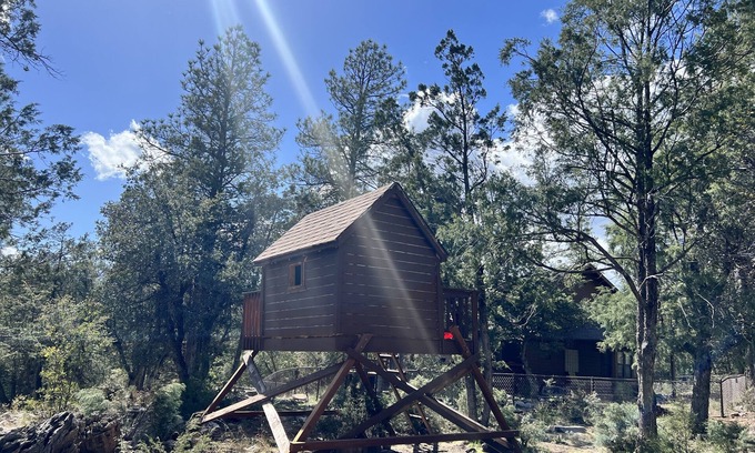 Whispering Pines Cabine | Miles of National Forest in Backyard - Cozy Cabin in Seclusion