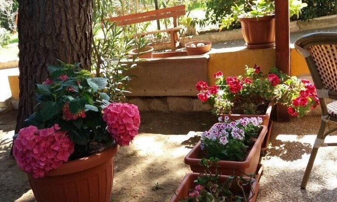 Defensola Maison | MIMOSA Une maison individuelle de trois pièces dans la résidence Villa Carla
