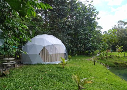 Guayabo Autre | Mineral River Eco Dome