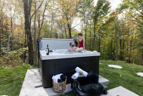 Argenteuil Regional County Municipality Chalet De Ski | Mini chalet Ecohaven - SPA