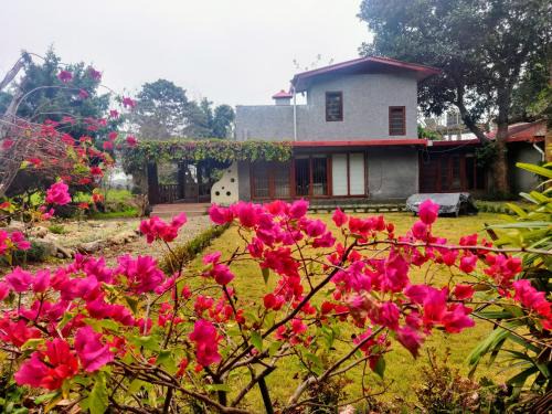 Belparao Maison | Minivets Nest