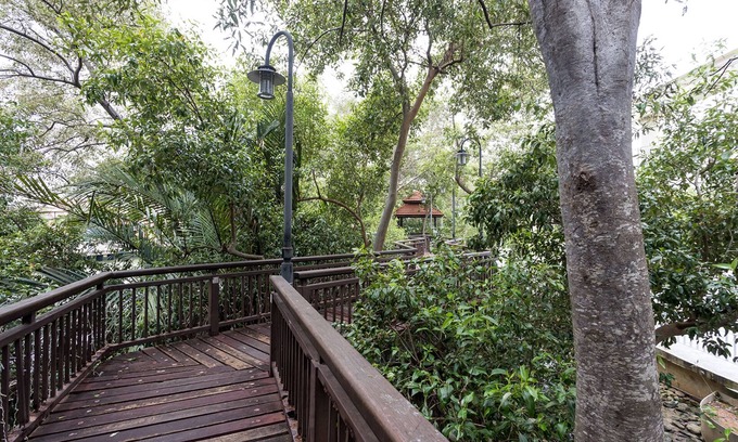 Bunga Paya Pantai Hôtel | Mio Boutique Hotel Melaka