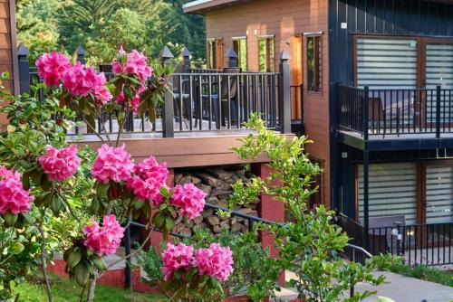 Osorno Appartement | Mirabosque aparment Ejecutivos 6