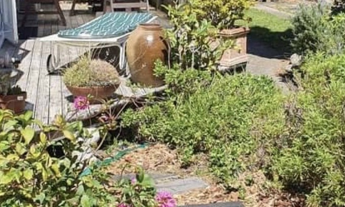 Miramar Maison | Miramar Bungalow, Wellington Garden Oasis
