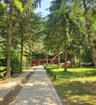 Avrig Maison | Misha's House