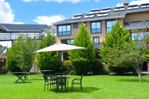 Naro Moru Cabine | Misty Mountain Lodge