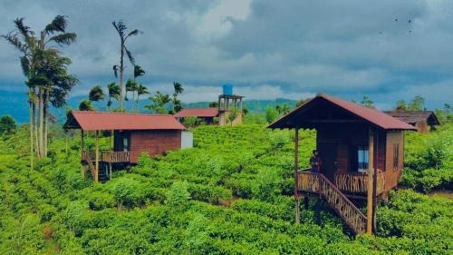 Deniyaya Hôtel | Misty Mountain- Sinharaja