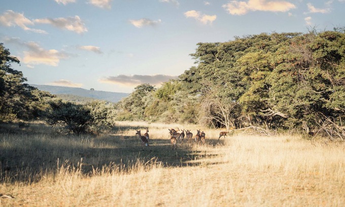 Mookgopong Maison | Mmakuba Game Lodge, Villa 2 chambres 3