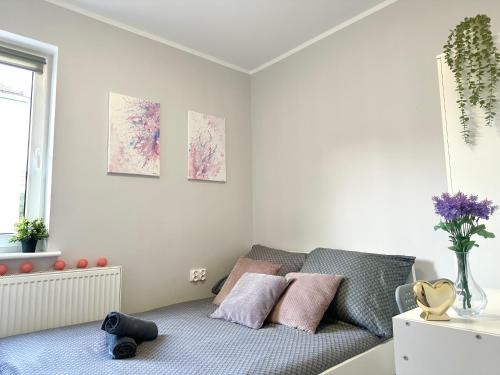 Aniolki Maison | MMRent Pink Fusion Room