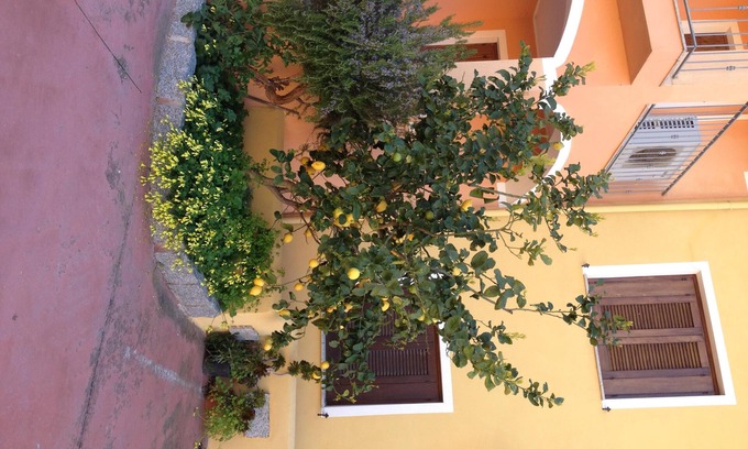 La Muddizza Appartement | Modern 1 bed Apartment Sleep 3 sea View Only 700mt From sea