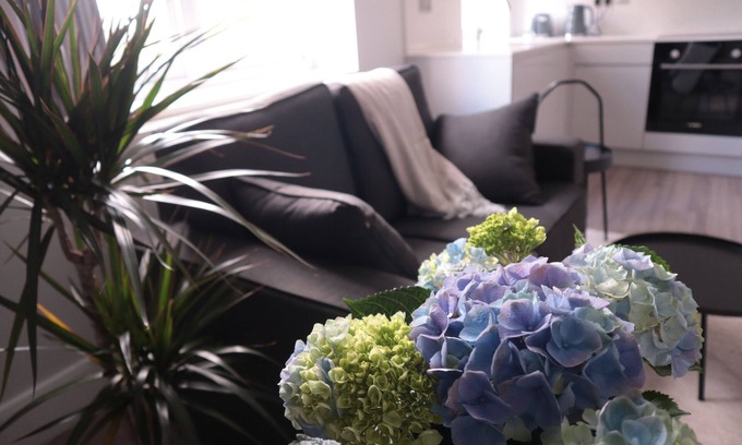St. George's Appartement | Modern and Bright Flat- in Vibrant Camden