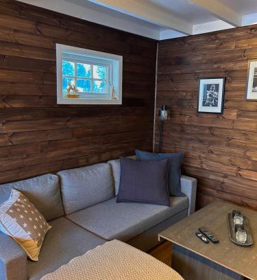 Gol Appartement | Modern cabin in amazing hiking area!
