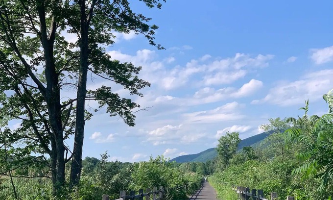 Copake Falls Autre | Modern Farmhouse near hiking, bike path & swimming