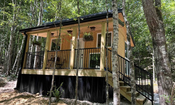 McEwen Maison | Modern Tiny House tucked in the woods - only 192 Sq. Ft.