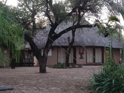 Lephalale Hôtel | Mokala Gastehuis