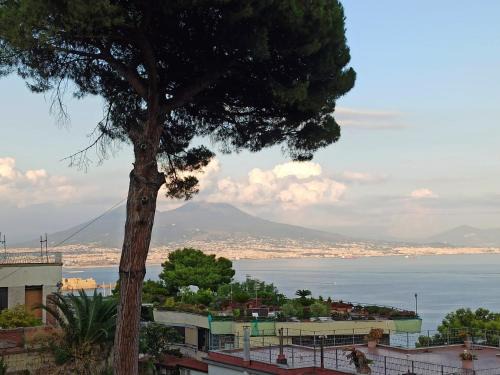 Naples Appartement | MONOCAMERA con TERRAZZOgiardino -STUDETTE -zona Panoramica POSILLIPO