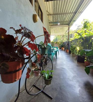 Manuel Antonio Appartement | Monos Titi Third Floor