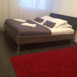 Patrotte Metz-Nord Appartement | Monte Cristo
