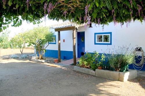 Assuncao Maison | Monte da contenda
