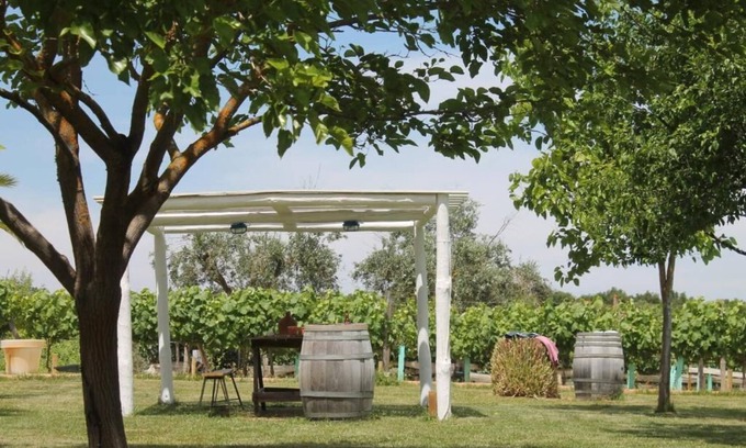 Vimieiro Lit Et Petit-Déjeuner | Monte das Aranhas Wine Luxury
