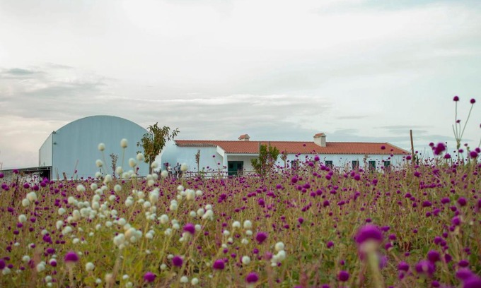 Sao Mancos Maison | Monte de Palma- Quinta Biodinâmica Momentos Únicos