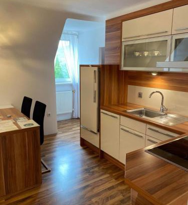 Linz Appartement | Montel PARK - Linz Danube River