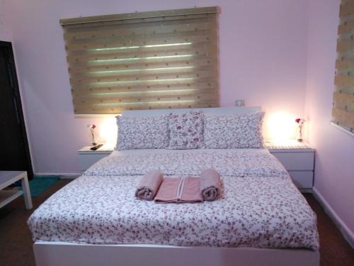 Jerash Appartement | moon valley site jerash