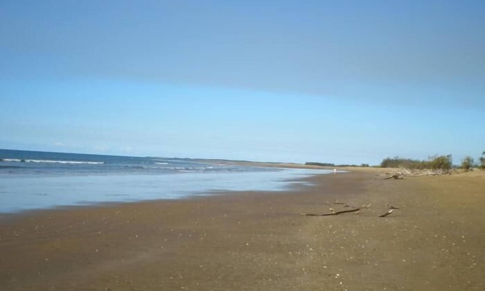 Moore Park Beach Hôtel | Moore Park Beach Motel