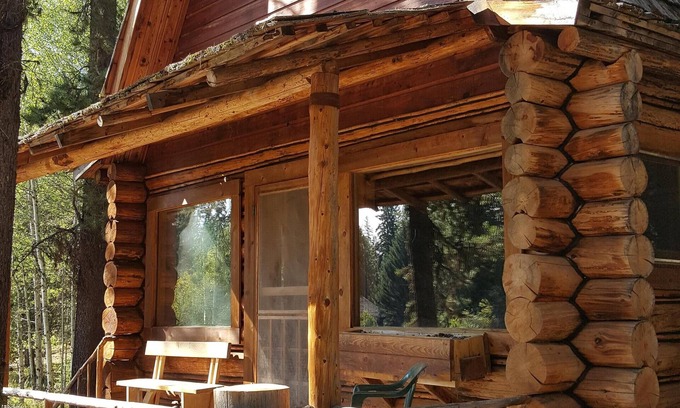 Condon Cabine | Cabane rustique "Moose Paddle" cachée dans les pins.