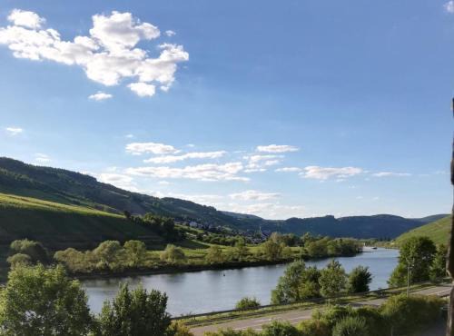 Burg Appartement | Moselhof