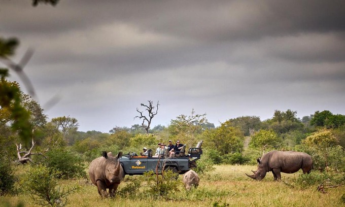 Kruger National Park Cabine | Motswari Private Game Reserve by NEWMARK