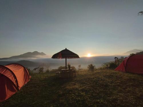 Kintamani Autre | Mount Batur Sunrise Trekking Stay Package in Kintamani Adventures