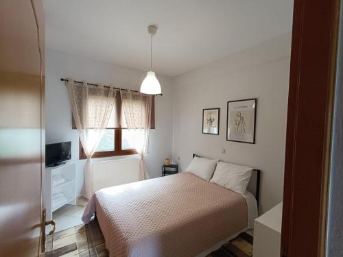 Konitsa Appartement | Mountain Serenity junior