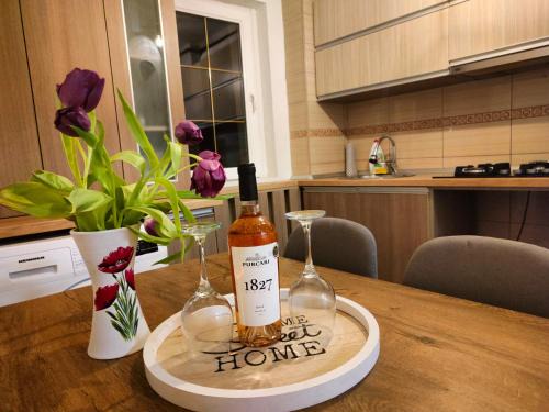 Petrosani Appartement | Mountain View Apartment