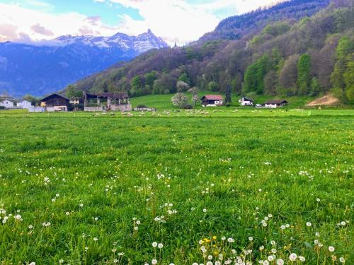 Monthey Appartement | Mountain View