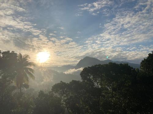 Kithulgala Maison | Mountainview Rooms and Adventure