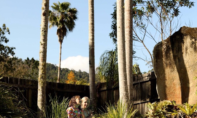 Mount Warning Autre | Mt Warning Rainforest Park