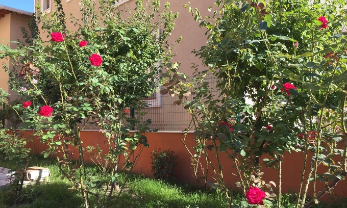 Marmara Appartement | Murat Kaptan Apart Otel