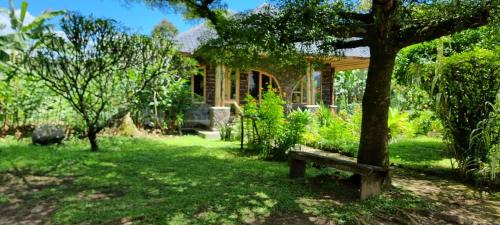 Western Region Maison | Mutolere Coffee Pot Guest Houses