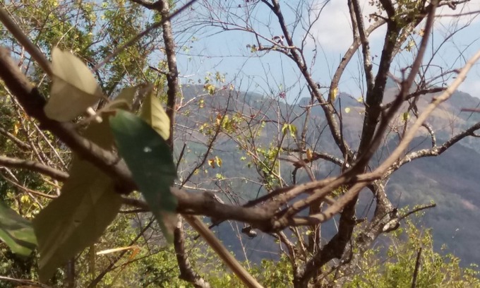 Madawala Location De VR | Nalanda Relaxation And Caping Site