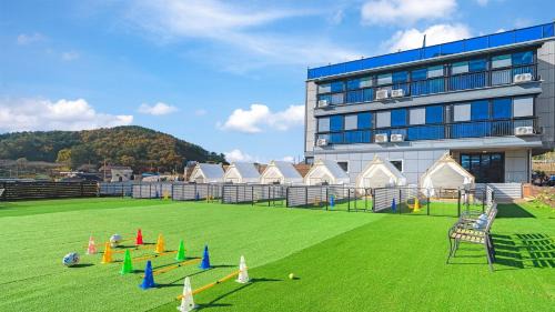 Namhae Maison | Namhae Dangdangi Dog Pension Blue
