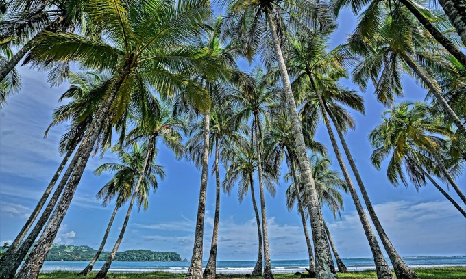 Puerto Carrillo Hôtel | Nammbú Beachfront Bungalows