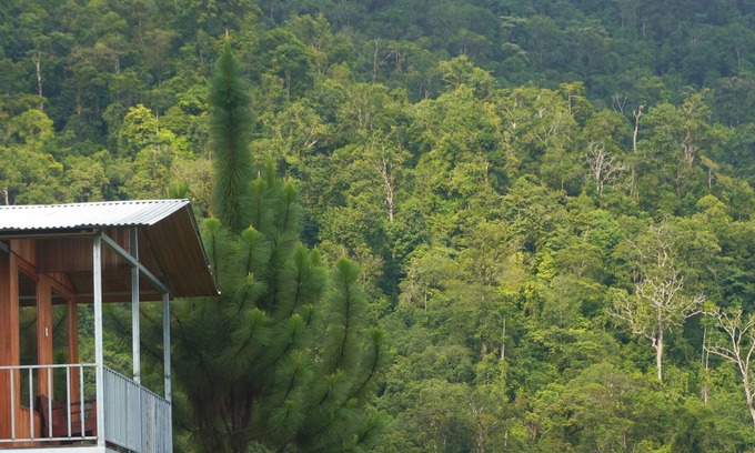Baru Cabine | Native Baru : Morpho Cabin