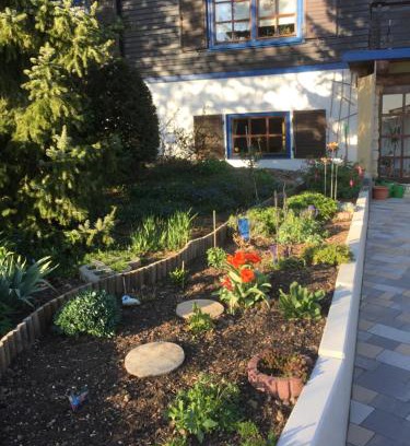 Steina Appartement | Natur pur mit Fernblick für Wanderfreunde