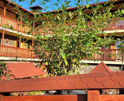 Baile Tusnad Maison | Natura Tusnad