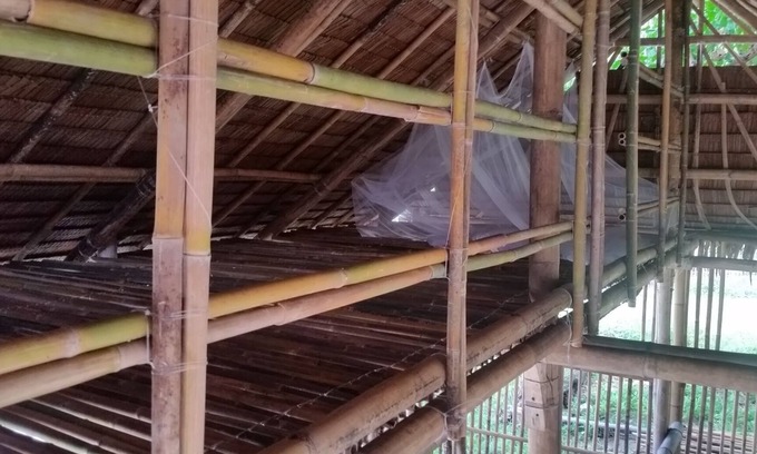 Linapacan Maison | Cabane naturelle en milieu rural sur petite île