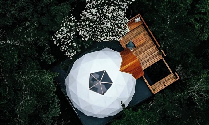 Monteverde Cabine | Naturave #2 Into the woods